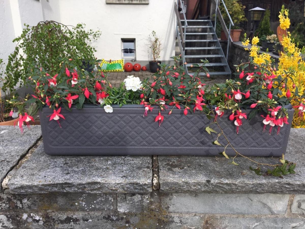 Hotel Adler Garni Bauma Luaran gambar